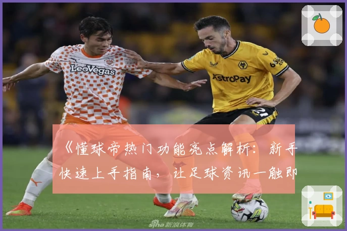 《懂球帝热门功能亮点解析：新手快速上手指南，让足球资讯一触即达》