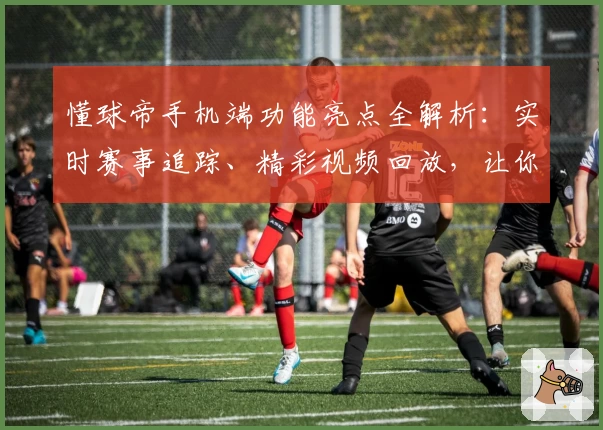 懂球帝手机端功能亮点全解析：实时赛事追踪、精彩视频回放，让你畅享足球新体验